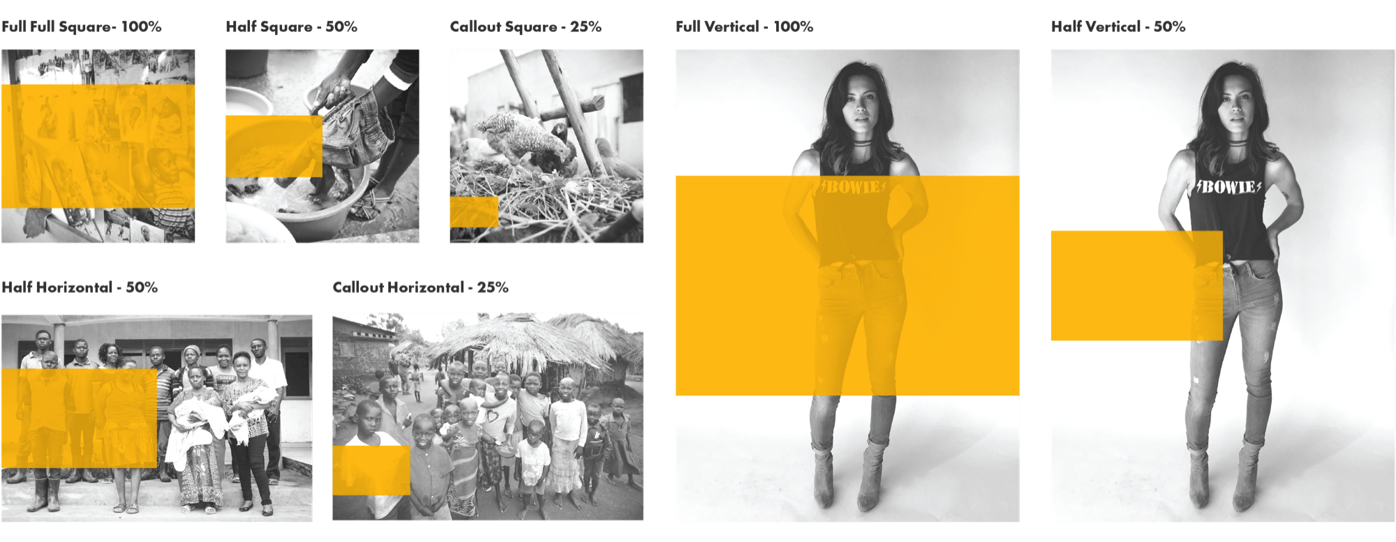 The flag system: the yellow bar at 100, 50 and 25 percent across square, horizontal and vertical images